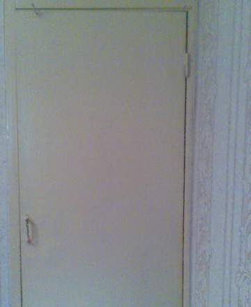 Дверь 20060