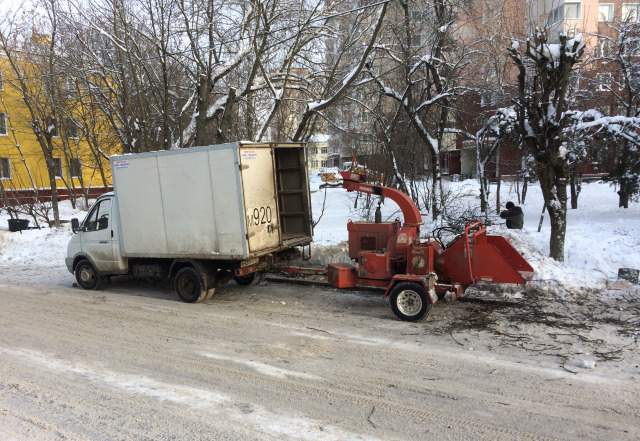 Отдам дрова и щепу бесплатно Москва