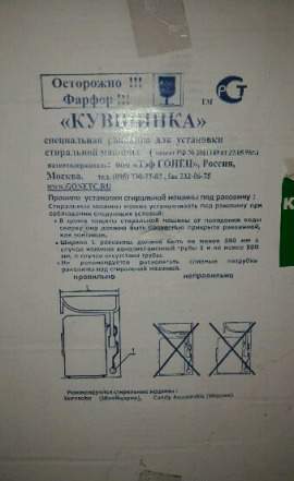 Раковина Кувшинка