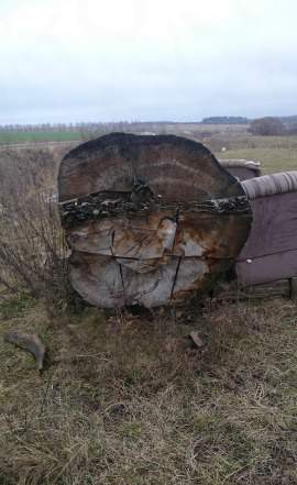 Амбарная доска. бревно. лаги