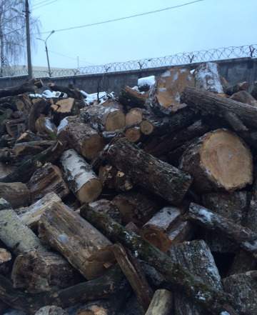 Дрова семешаных пород дуб, осина, береза
