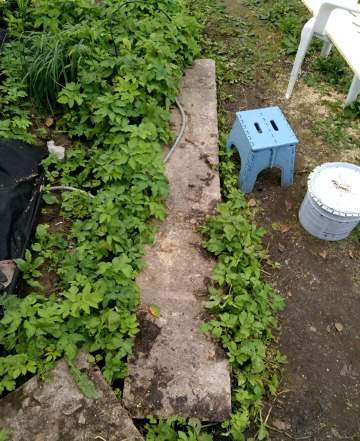 Плиты для сада