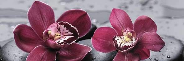 Плитка cerrol City Orchid польша